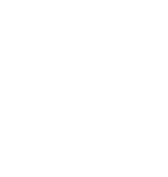 The Temporary Stories Logo